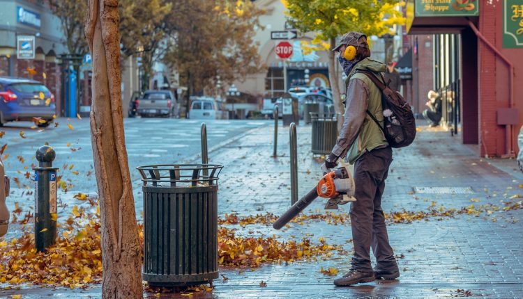 aspirator pentru frunze